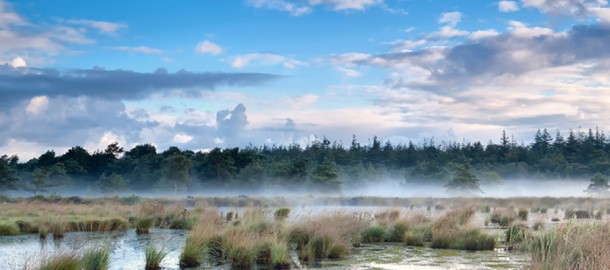 Drents landschap.jpg